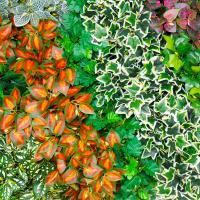 uploads/erp/collection/images/Home Garden/CongDing/XU0611851/img_b/XU0611851_img_b_1